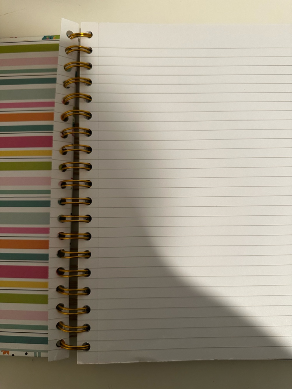 Carpe Diem Llama B5 Project Notebook Journal - Colorful Print - Picture 2 of 5